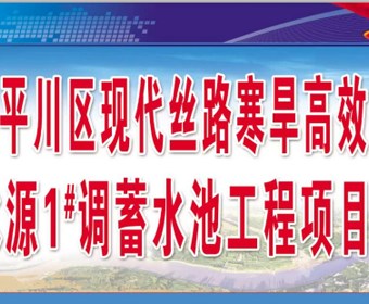 Introduction to the Modern Silk Road Cold and Drought Efficient Agricultural Water Source Engineering Project in Pingchuan District